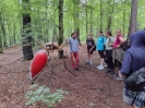 ARBORETUM  BRAMY MORAWSKIEJ W RACIBORZU