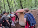 ARBORETUM  BRAMY MORAWSKIEJ W RACIBORZU