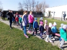 „POMÓŻMY BEZDOMNYM CZWORONOGOM”  2019