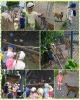 Wyjazd do mini zoo Żużela 2023