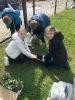 Sadeznie kwiatów 2024 klasy 1-3