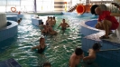 basen_20