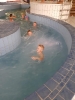 basen_9