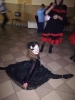 dyskoteka karnawalowa_8