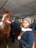 ferie_29