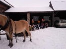 ferie_49