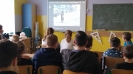 Żonkile 2019