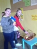 Podziel się jabłkiem 2014