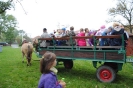 Pożegnanie lata 2014