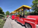 Pokrzywna 2022