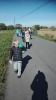 Sprzątanie świata 2018