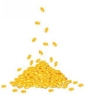 SU