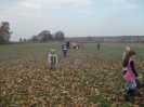ziemniak2011_13