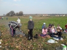 ziemniak2011_1