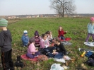 ziemniak2011_2