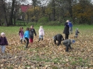ziemniak2011_3