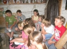 zielona2012_35