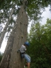 zielona2012_76