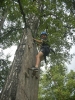 zielona2012_78