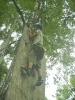 zielona2012_80