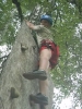 zielona2012_86