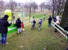 Bryksy Cross 2017