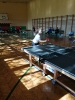 Tenis stołowy