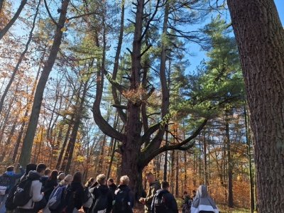Wycieczka do Stobrawskiego Parku Krajobrazowego
