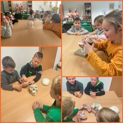 Centrum Nauki i Eksperymentu RCER w Opolu