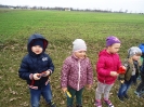 Witam wiosnę!