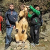 euroweek_75