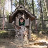euroweek_76