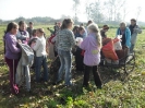 Pieczony Ziemniak 2010_1