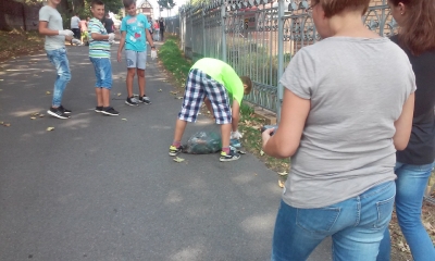 Sprzatanie swiata_6