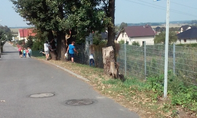 Sprzatanie swiata_9