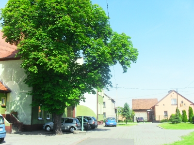 Szkoła