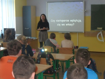 nietoperze