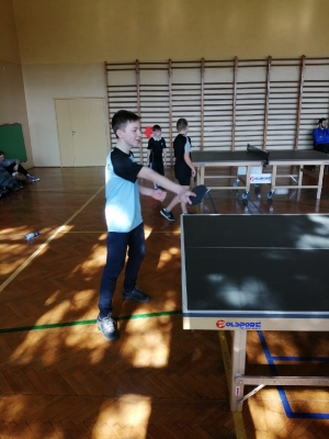 Tenis stołowy