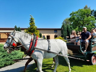 ognisko klasy VII