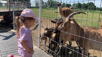 Mini Zoo