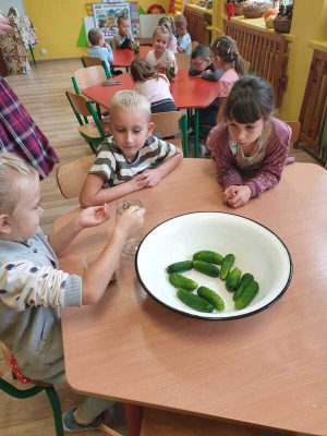 kiszenie kapusty_5