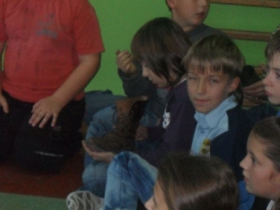 bractwo rycerskie_107