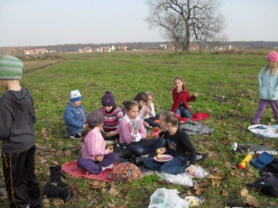 ziemniak2011_2