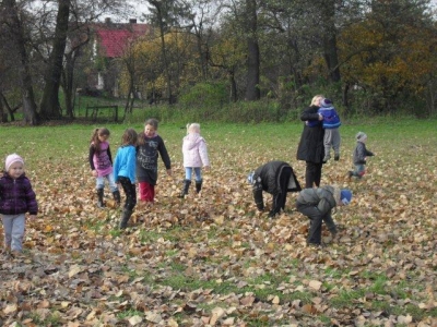 ziemniak2011_3