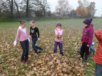 ziemniak2011_12
