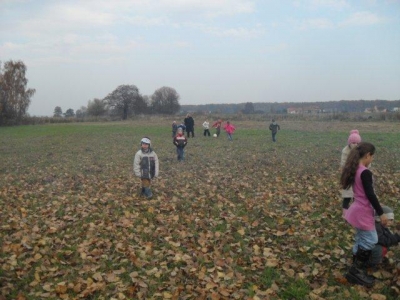 ziemniak2011_13