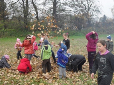 ziemniak2011_17
