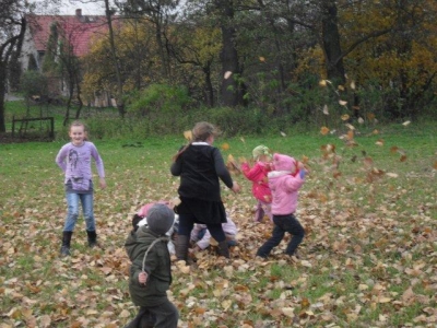 ziemniak2011_18