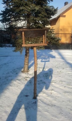 dokarmiamy ptaki_1