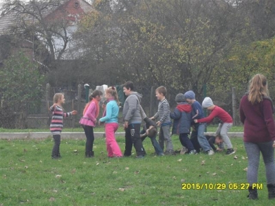 ziemniak_15